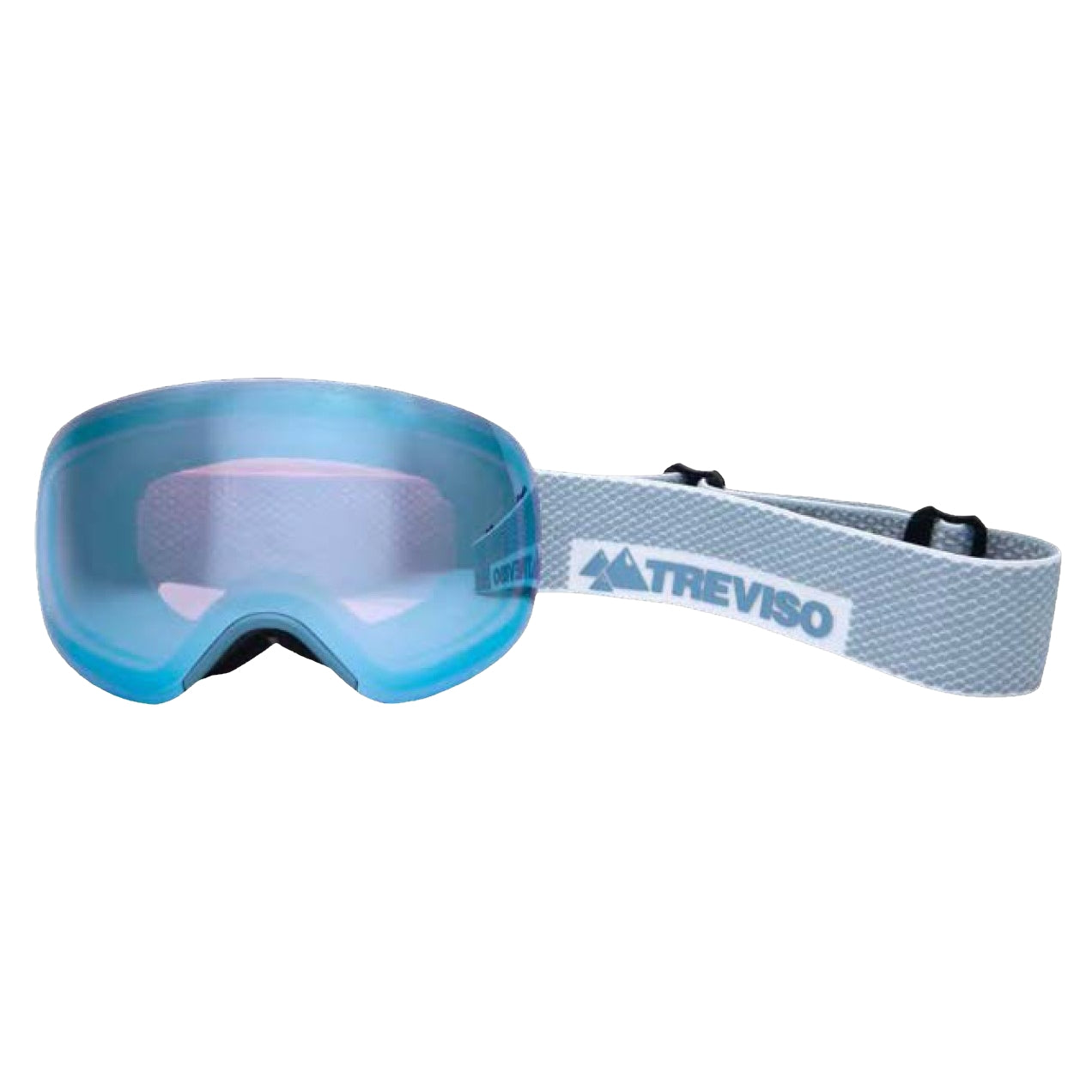 TREVISO ROGUE ADULT GOGGLES